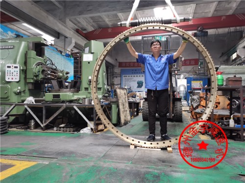 精密回轉(zhuǎn)大蝸輪海洋平臺(tái)專(zhuān)用